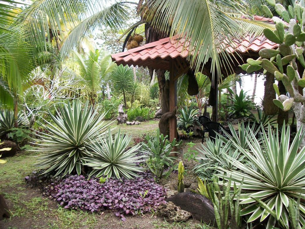 Piscina Natural On The Sea Cahuita Exterior foto