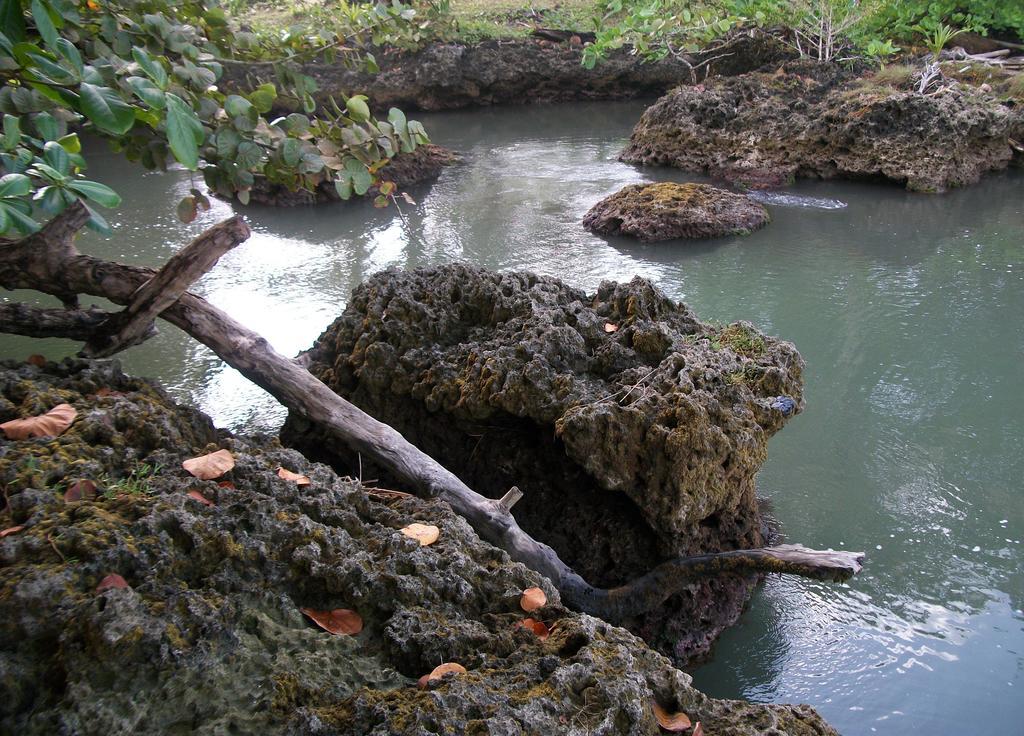 Piscina Natural On The Sea Cahuita Exterior foto