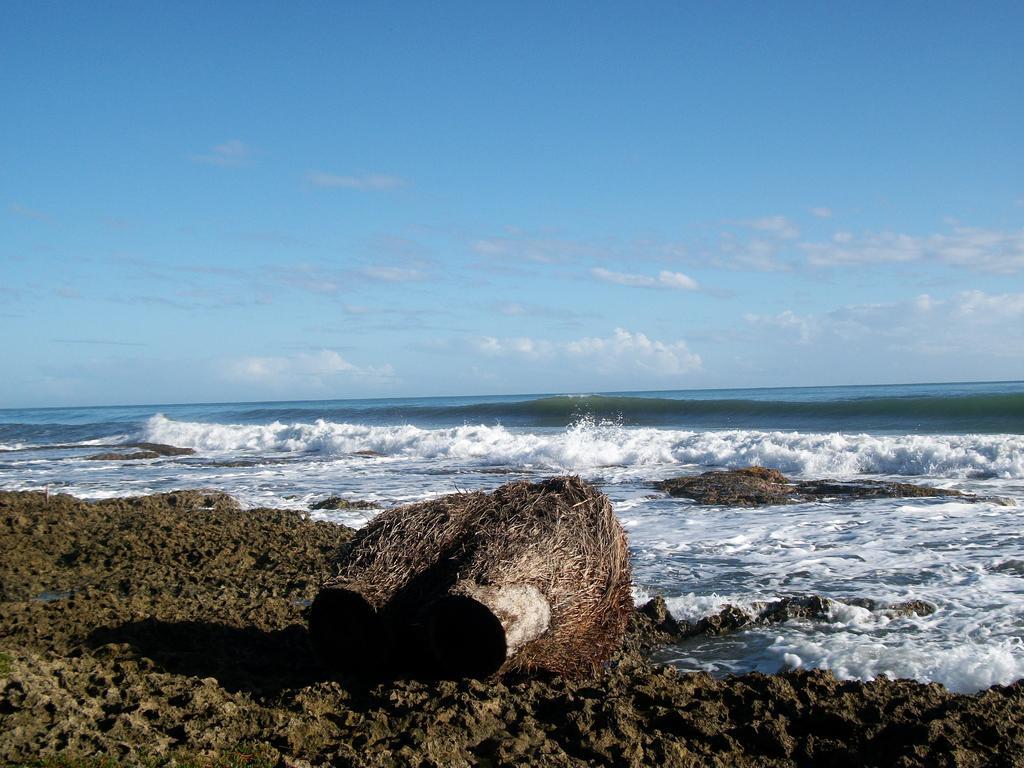 Piscina Natural On The Sea Cahuita Exterior foto